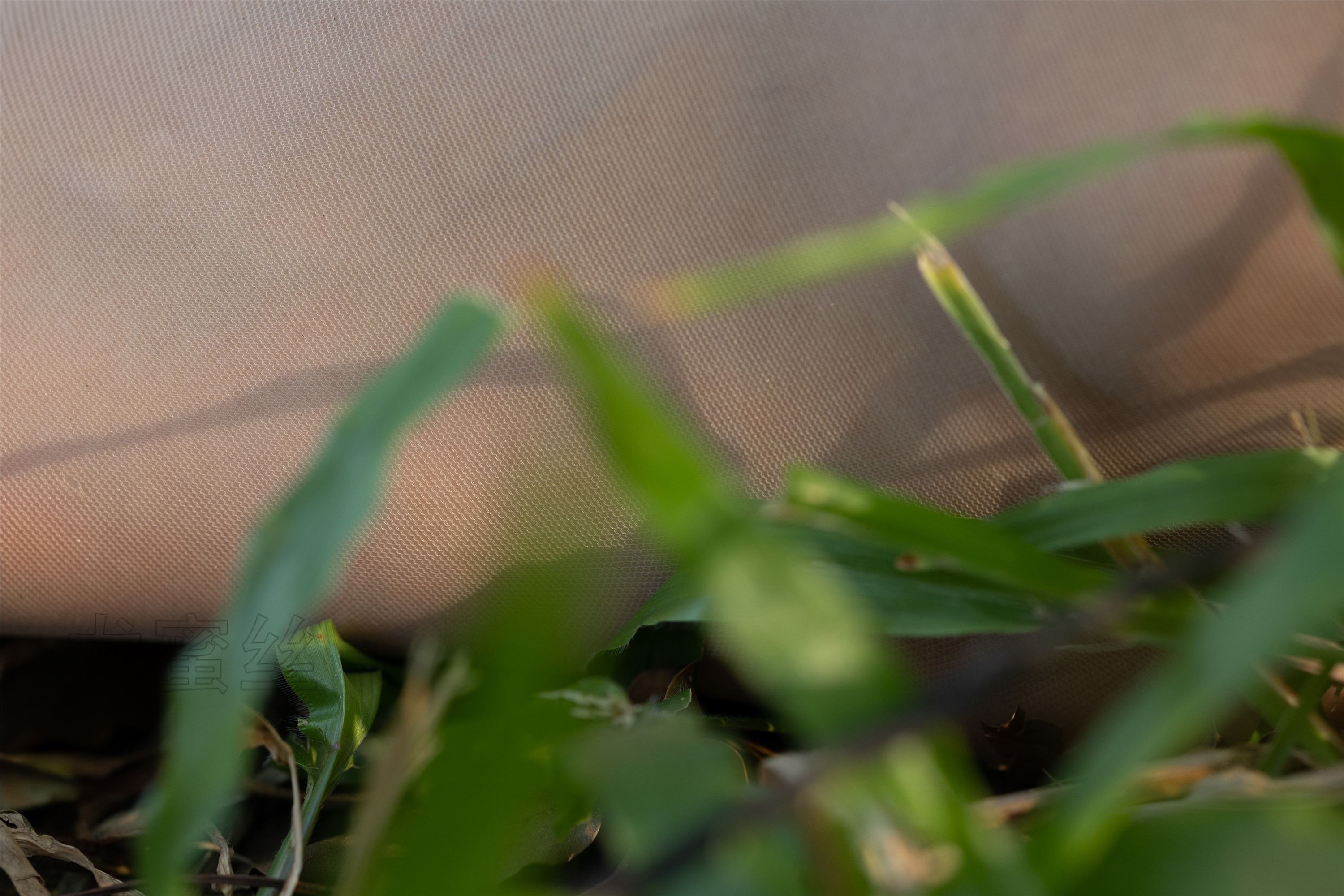 尤蜜丝 穿搭写真 No.123